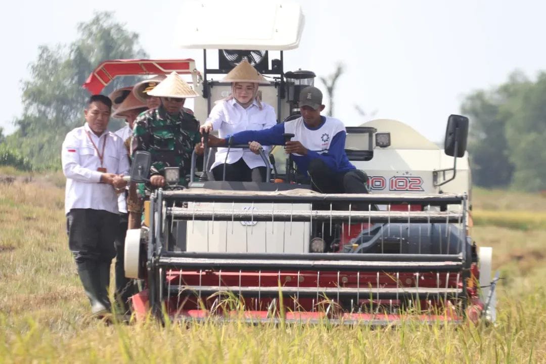 Banyuasin Panen Raya IP 200, Siap Jadi Lumbung Pangan Nasional