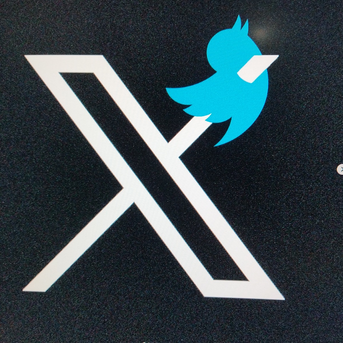 4 Taktik Penipuan Umum di Twitter atau X : Waspadai Agar Anda Tidak Terkena Dampak Negatif!