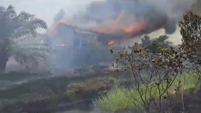 2 Rumah Warga Tak Berpenghuni di Kabupaten Musi Banyuasin Ikut Terbakar dalam Kebakaran Hutan dan Lahan