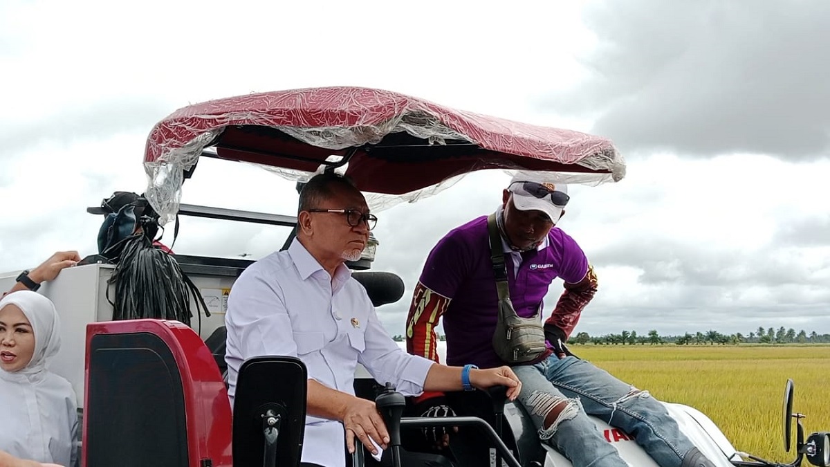 Jelang Panen Raya, Menko Pangan Pastikan Gabah Kering Panen Tetap Stabil