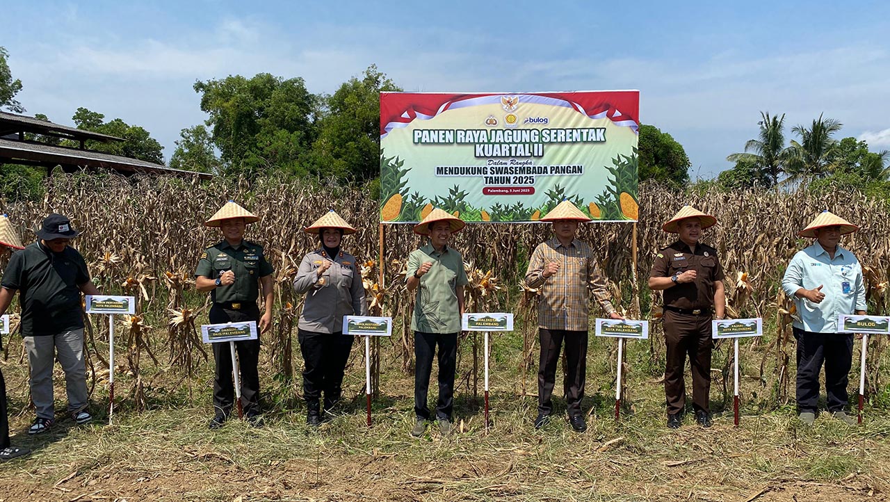 Ratu Dewa Ikuti Panen Raya Jagung Serentak Dukung Swasembada Pangan Nasional
