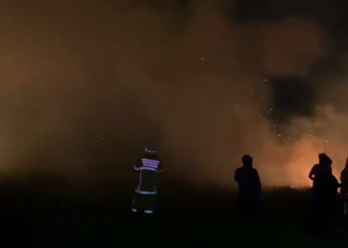  Jelang Kemarau, Langkah Penanganan Karhutla di Pebatasan Disiapkan