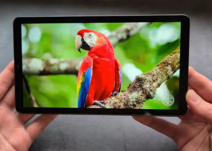 Galaxy Tab A11 Mendukung Koneksi WiFi Cepat: Tablet Terjangkau dengan Performa Modern