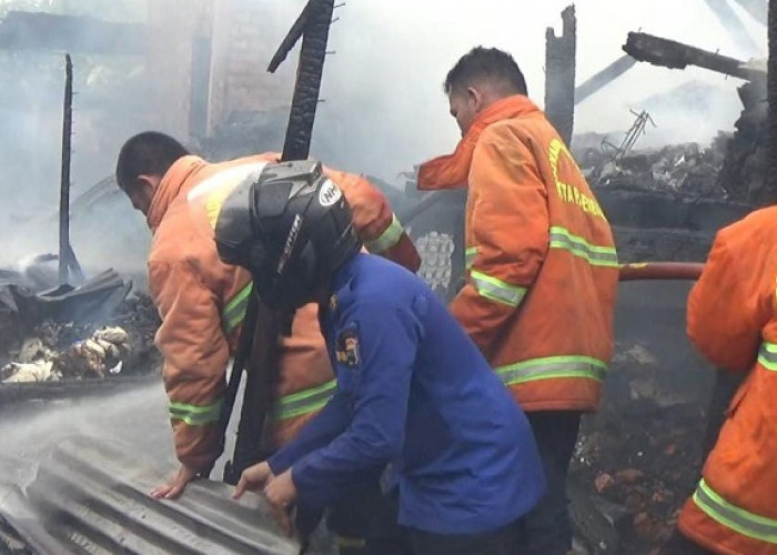 Sejak Januari 2023, Pemkot Palembang Catat 100 Kasus Kebakaran
