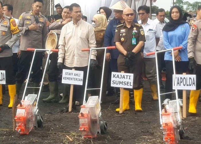 Penanaman Jagung Serentak 1 Juta Hektar Mendukung Ketahanan Pangan 2025