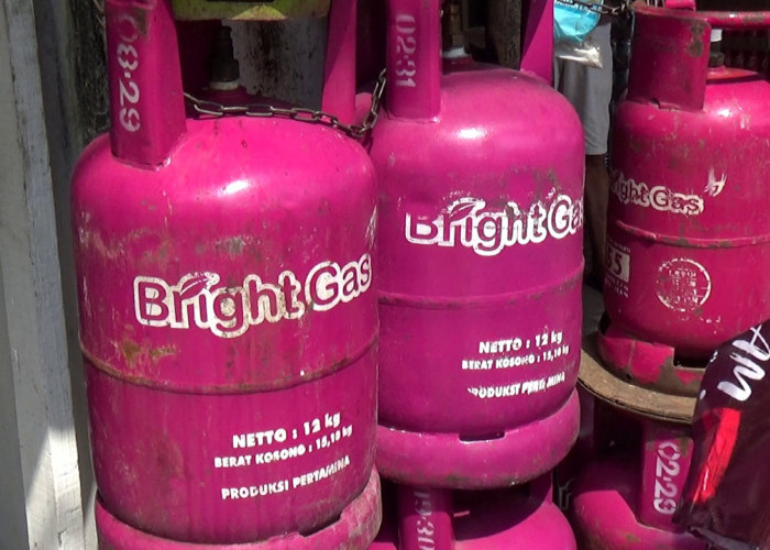 Pertamina Patra Niaga Regional Sumbagsel Pastikan Distribusi LPG Non-Subsidi Berjalan Sesuai Mekanisme