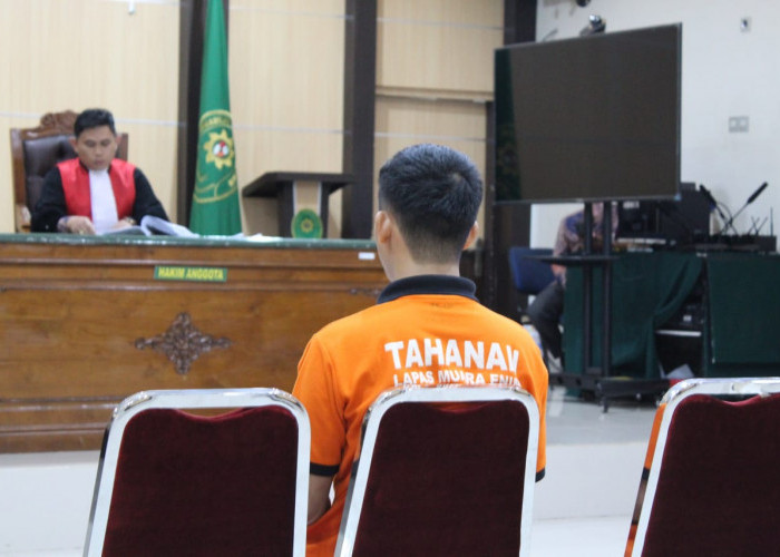 Adik Bos Tambang Batubara Ilegal  Divonis Separuh dari Tuntutan Jaksa