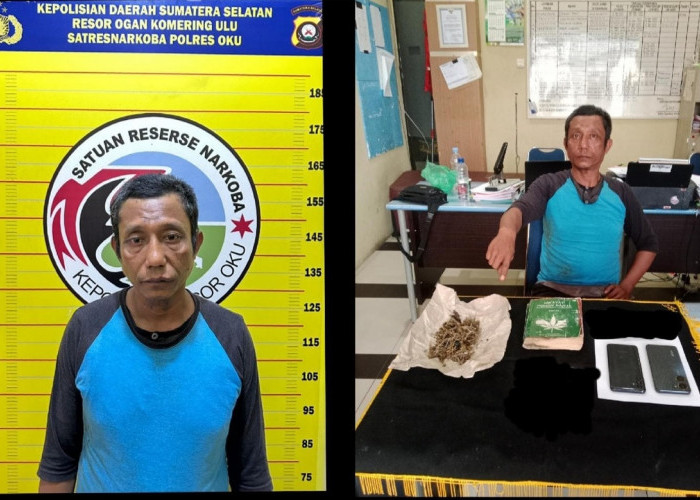 Polres OKU Tangkap YN, Temukan Ganja dan Buku Hikayat