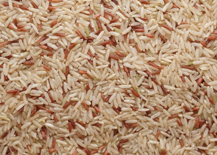 Apa Benar Nasi Merah Lebih Menyehatkan dari Nasi Putih? 