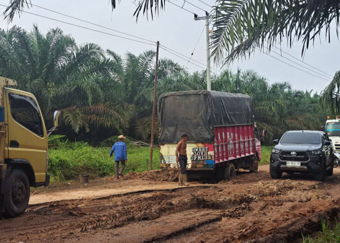 Kondisi Jalan Sungai Lilin–Keluang Makin Parah, Kemacetan Panjang Tak Terhindarkan