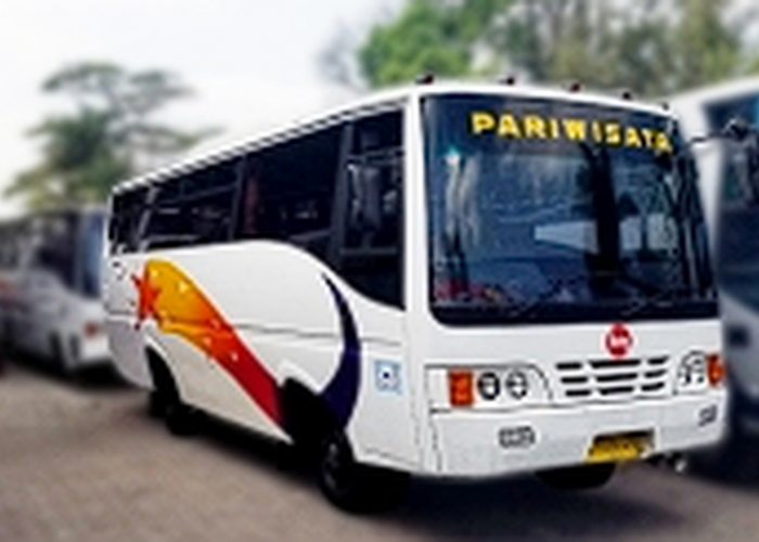 PO Bagong Luncurkan 10 Bus Baru dengan Bodi Discovery SR3