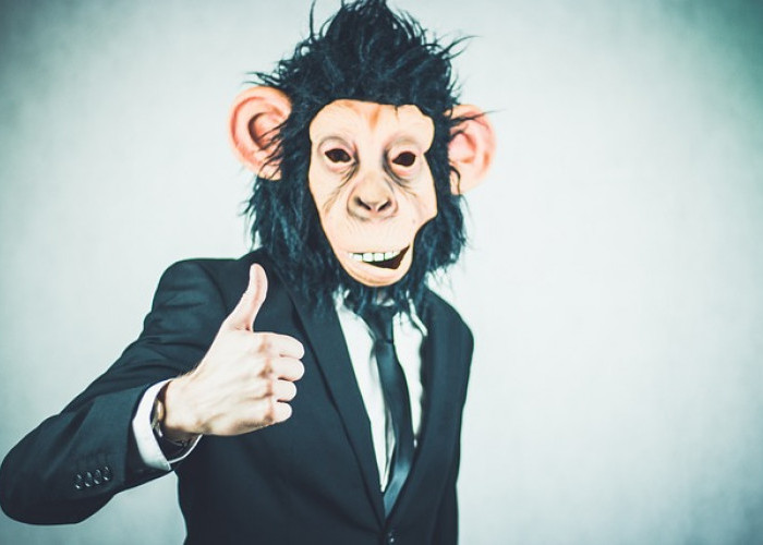 Kupas Tuntas Konsep ‘Monkey Business’ dalam Dunia Bisnis