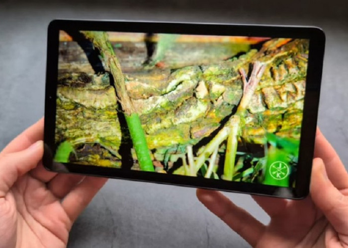 Galaxy Tab A11 vs Galaxy Tab S10 FE: Apakah Flagship Lama Masih Layak?