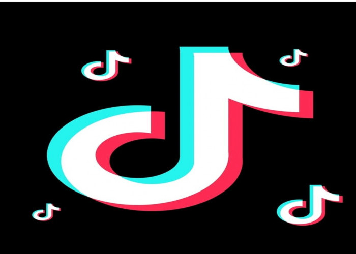 TikTok Luncurkan TikTok for Artists,  Platform Insight Musik Terbaru