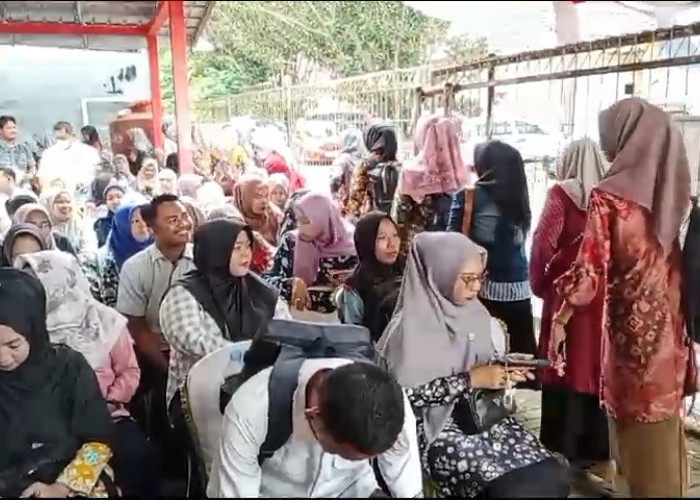 Calon P3k Kabupaten Banyuasin Terindikasi Narkoba