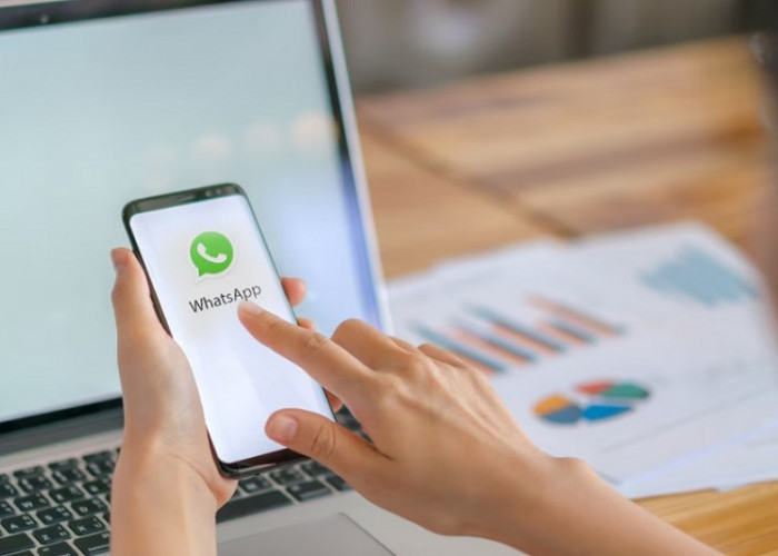 Jangan Ketinggalan! Gunakan Aplikasi Whatsapp Bisnis Untuk Melancarkan Bisnis Anda