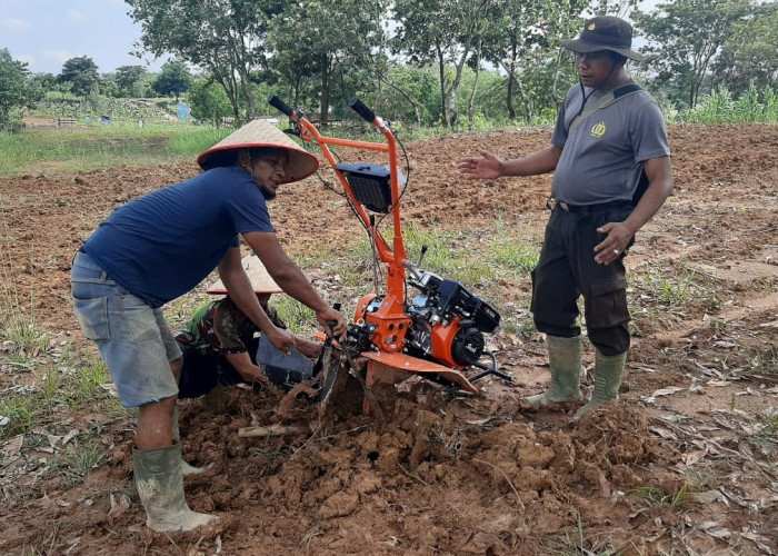 Latih Petani Kuasai Traktor Mini Demi Ketahanan Pangan