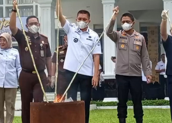Kejari Ogan Ilir Musnahkan  Barang Bukti  Narkoba