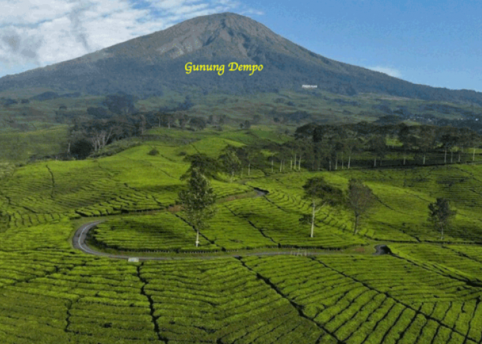 Nikmati Keindahan Gunung Dempo, Wisata Alam Sehat di Pagaralam