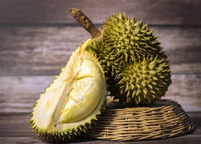 Budidaya Durian dan Perawatan yang Optimal untuk Hasil yang Melimpah