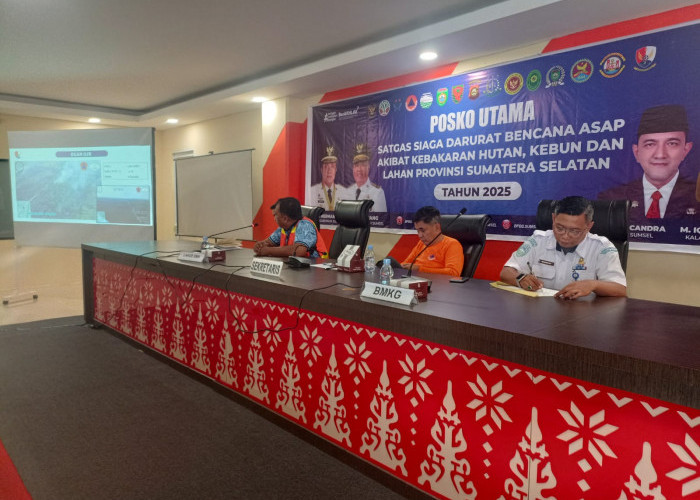 Januari-Agustus 1014,94 H Lahan dI Sumsel Terbakar, BPBD Terus Siaga hingga November 