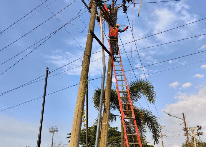 Pasca Idul Fitri, PLN ULP Lubuklinggau Perkuat Keandalan Listrik Lewat Perbaikan Saluran Kabel Tegangan Meneng