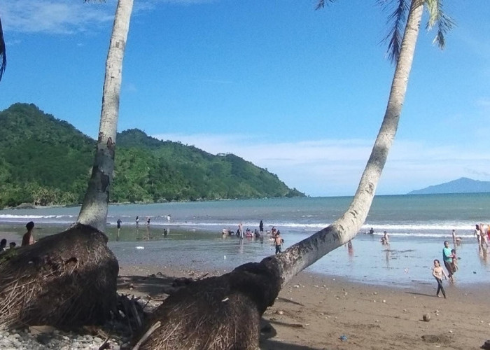 Wisata Pantai Muara Baru,Pesona Baru Wisata Alam di Tanggamus, Lampung