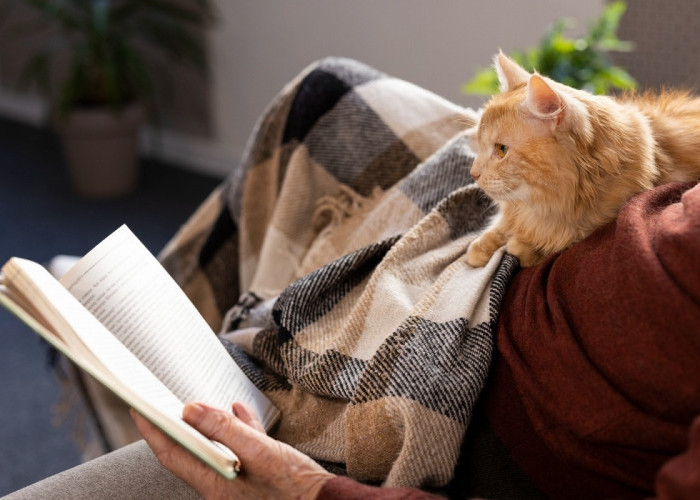 Rahasia Kucing Penjaga Buku, Bagaimana Mereka Mengubah Dunia Literasi?