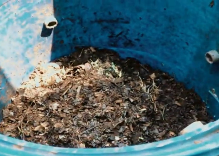 Sampah Rumah Tangga Harusnya Dikelola Jadi Kompos, Lebih Berguna!