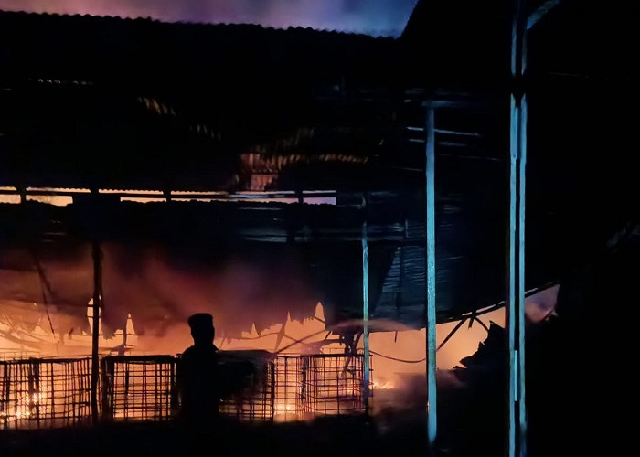 Kebakaran Lahan di Desa Payakabung Diduga Turut Hanguskan Gudang BBM Ilegal