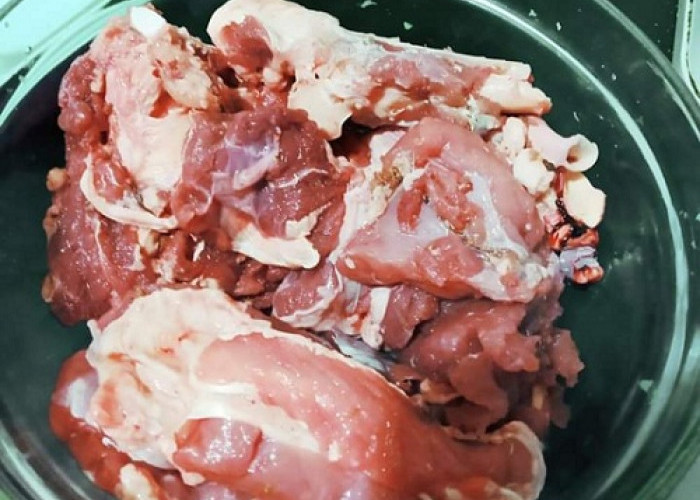 Inilah Rahasia Mempertahankan Kesegaran Daging Kurban di Freezer Selama Berbulan-bulan!