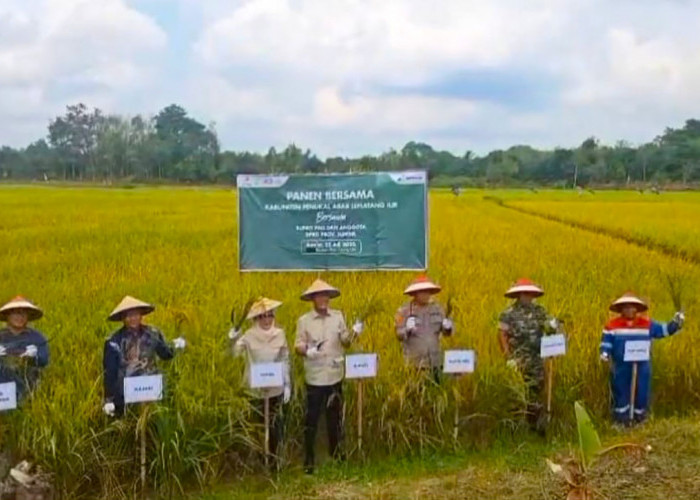 Pemkab PALI Panen Raya Wujudkan Swasembada dan Ketahanan Pangan