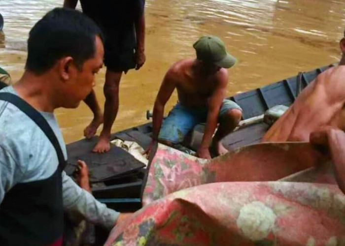 Seorang Warga Musi Banyuasin Diterkam Buaya Saat Memeras Minyak Ilegal