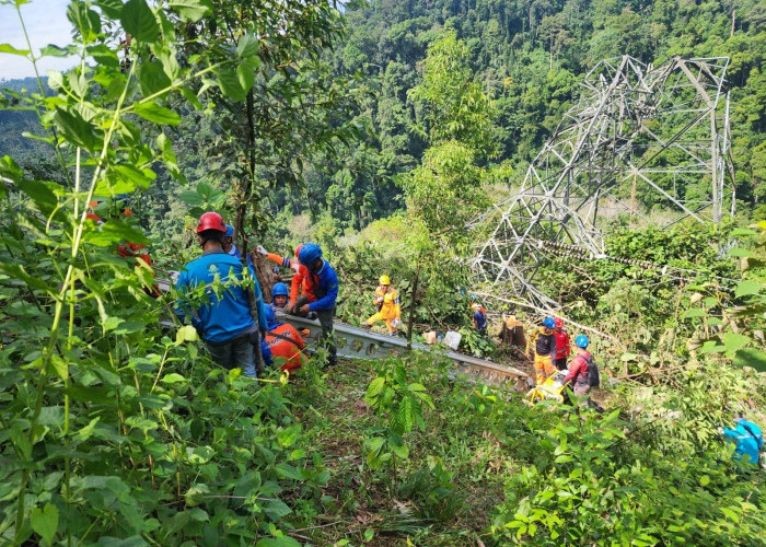 PLN UID S2JB Gerak Cepat Pulihkan Listrik di Sungai Penuh Pasca Robohnya Tower Transmisi