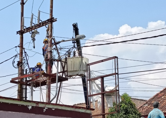 Antisipasi Gangguan, PLN Kayuagung Intensifkan Pemeliharaan Jaringan Listrik