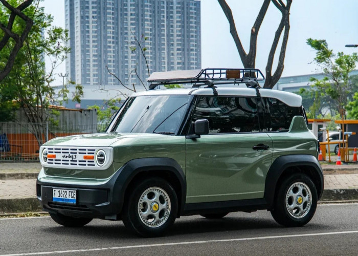 Strategi VinFast Kuasai Pasar ASEAN, Agresif Bangun Ekosistem Kendaraan Listrik  7