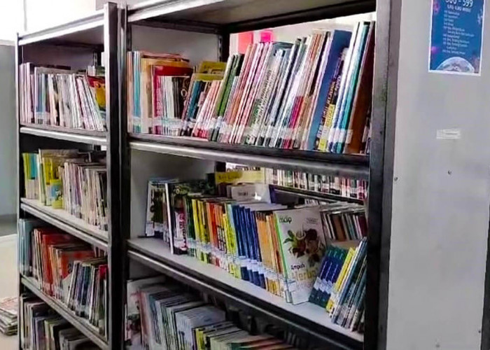 Modernisasi Belum Menggugah Minat Baca di Perpustakaan Umum Kabupaten Banyuasin