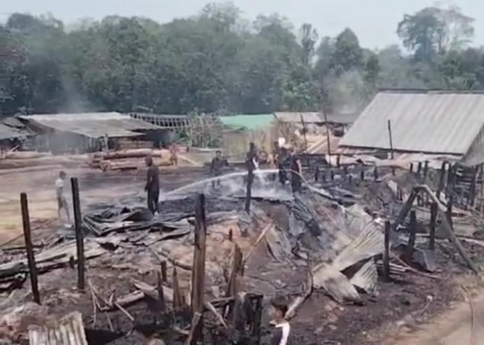 Diamuk Sijago Merah, 24 Rumah Hangus Terbakar di Desa Saud Batang Hari Leko Musi Banyuasin