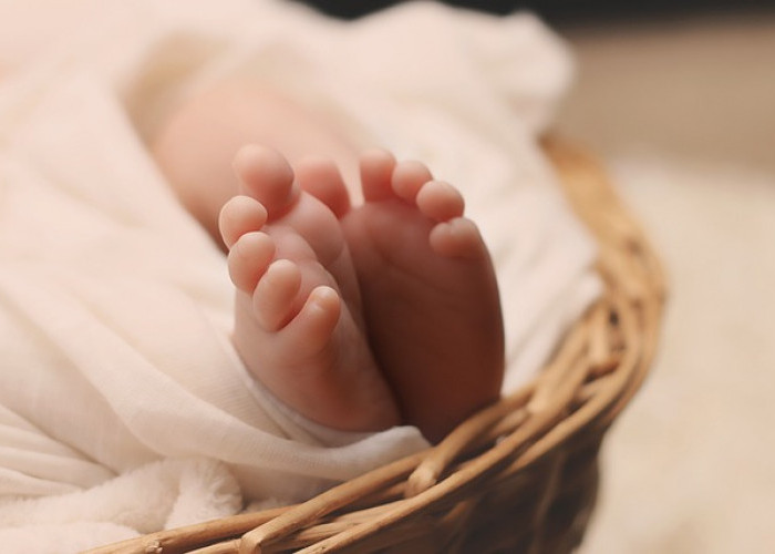 Heboh Pengakuan Ayah Tanpa Biaya, Simpan Mayat Bayi di Dalam Freezer