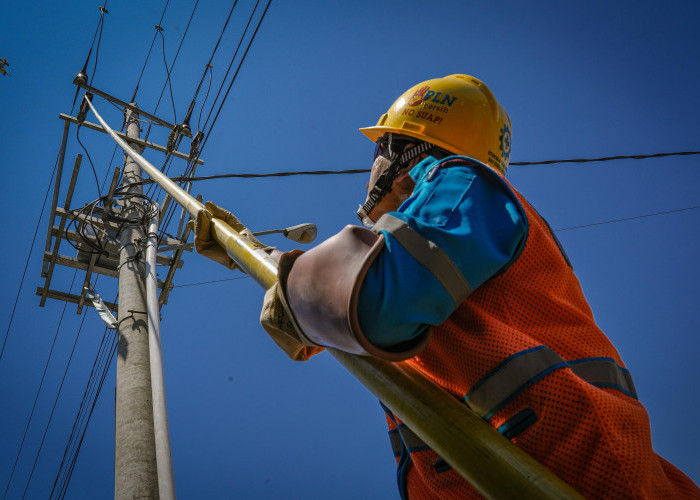 Kapasitas Perseroan Makin Kuat, PLN Jaga DER dan CICR Tetap Positif Sepanjang 2024
