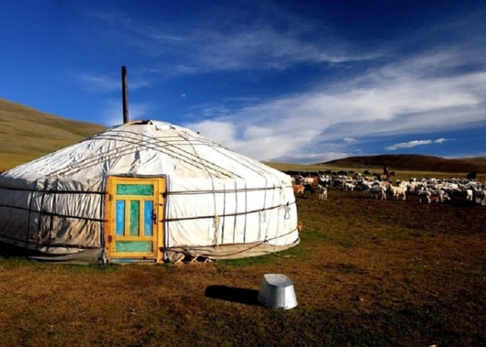 Tradisi Unik Rumah Ger Orang Mongolia, Tamu Yang Datang Tak Sopan Kalau Mengetuk Pintu 