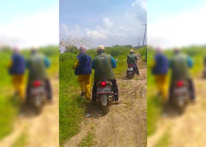 Akses Jalan Jadi Kendala Petugas Pantarlih Lakukan Coklit di Kelurahan Pulokerto