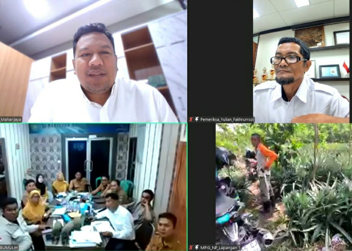 Menjaga Cita Rasa Lokal: Nanas Prabumulih Diuji Tim Ahli Indikasi Geografis