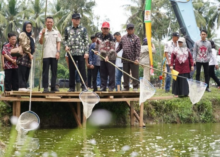 Kampung Perikanan Budidaya Patin Banyuasin Meningkatkan Ekonomi dan Gizi Masyarakat 