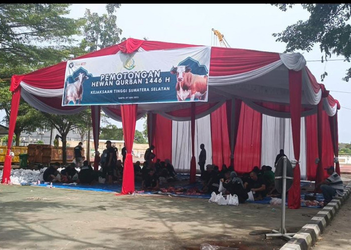Kejaksaan Tinggi Sumsel Potong 14 Hewan Qurban, Dibagikan Ke Pantiasuhan, Masyarakat dan Pegawai