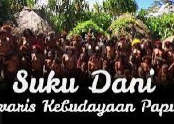Tradisi Bakar Batu pada Mayarakat Suku Dani di Manado Sulawesi Utara