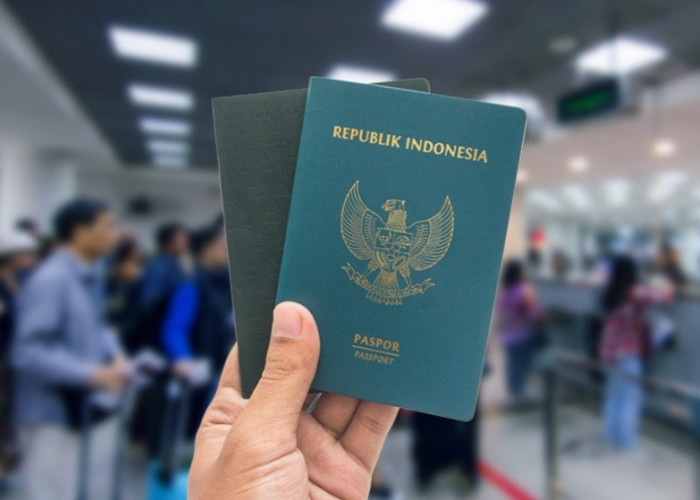 Paspor Baru dalam Genggaman, Simak Cara Praktis dan Efisien untuk Mengurus Paspor Anda!
