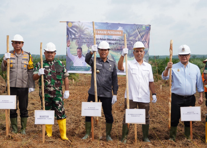 OKI Dukung Swasembada Pangan, Melalui Pemanfaatan Tanaman Padi di Lahan Gogo PSR