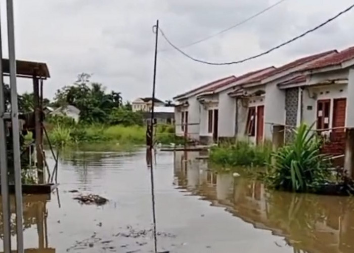 Warga Perumahan Griya Alam Indah Lestari Keluhkan Banjir Pasca Hujan Deras