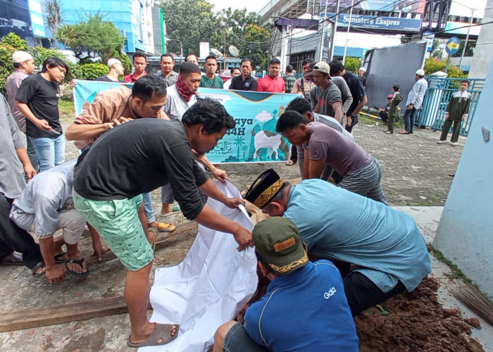 Idul Adha 1444 H, Sumatera Ekspres Grup Potong Tiga Ekor Hewan Kurban dan Palpres Potong 1 Kambing 